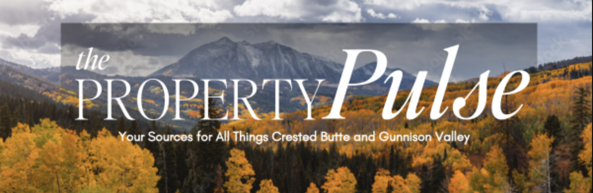 October 2024 – Real Estate Market Newsletter